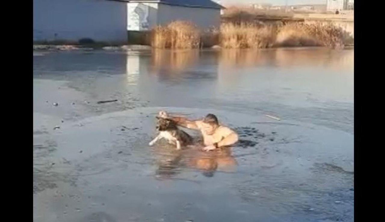 Мужчина спас собаку. Парень спас собаку из ледяной воды. Собака провалилась под лед. Потоп мужик спасает собаку.