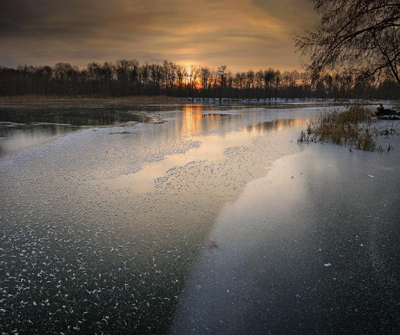Вода в реке замерзла. Лед на реке. Лед на речке. Осенняя река тонкий лед. Речка покрытая льдом.