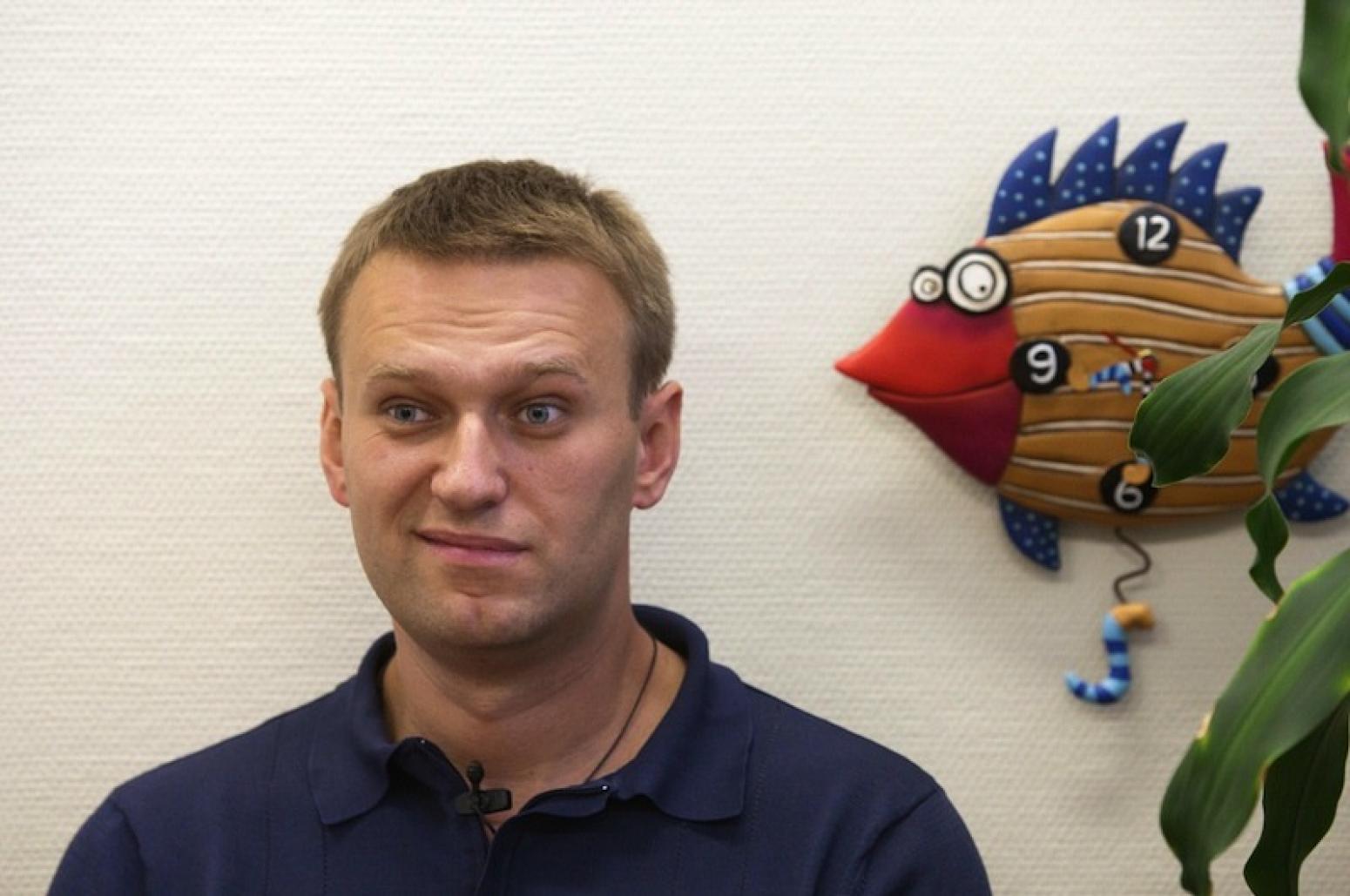 Блогера навального