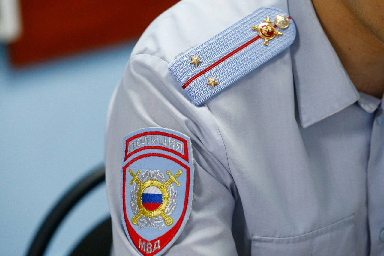 В Краснодаре из окна многоэтажки выбросили кота