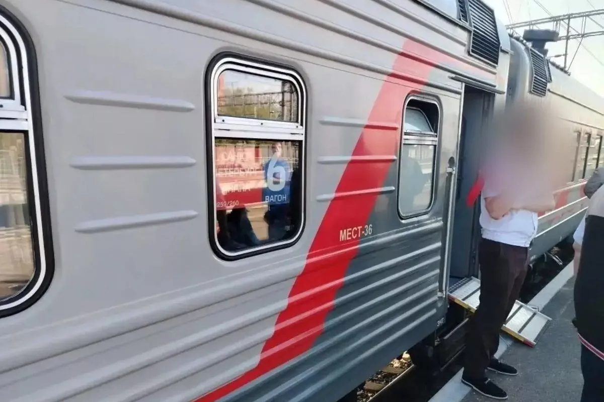 Пассажир поезда Адлер–Москва, избивший полицейских, получил условный срок