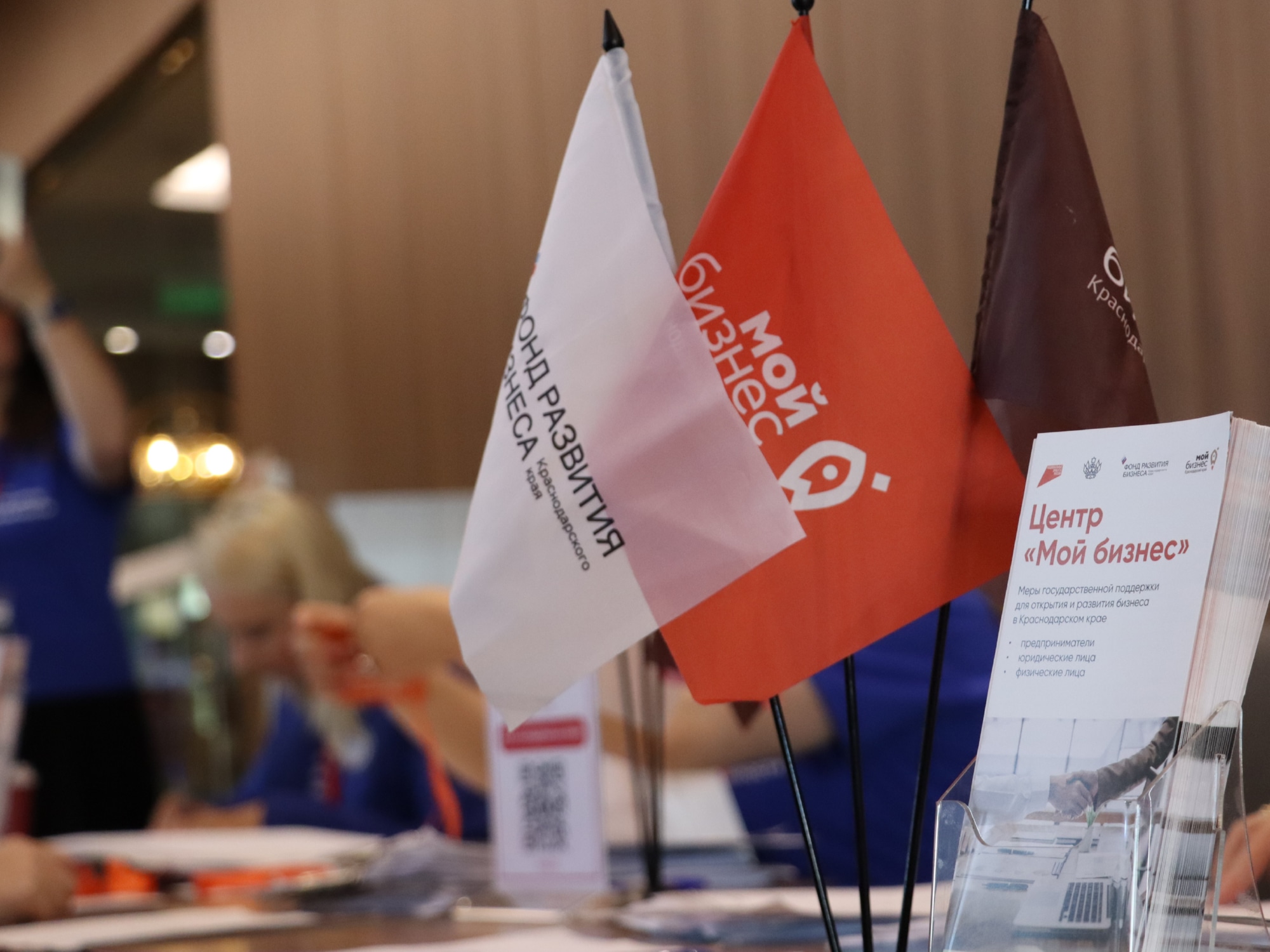 Краснодарский край занял второе место в России по льготным кредитам МСП