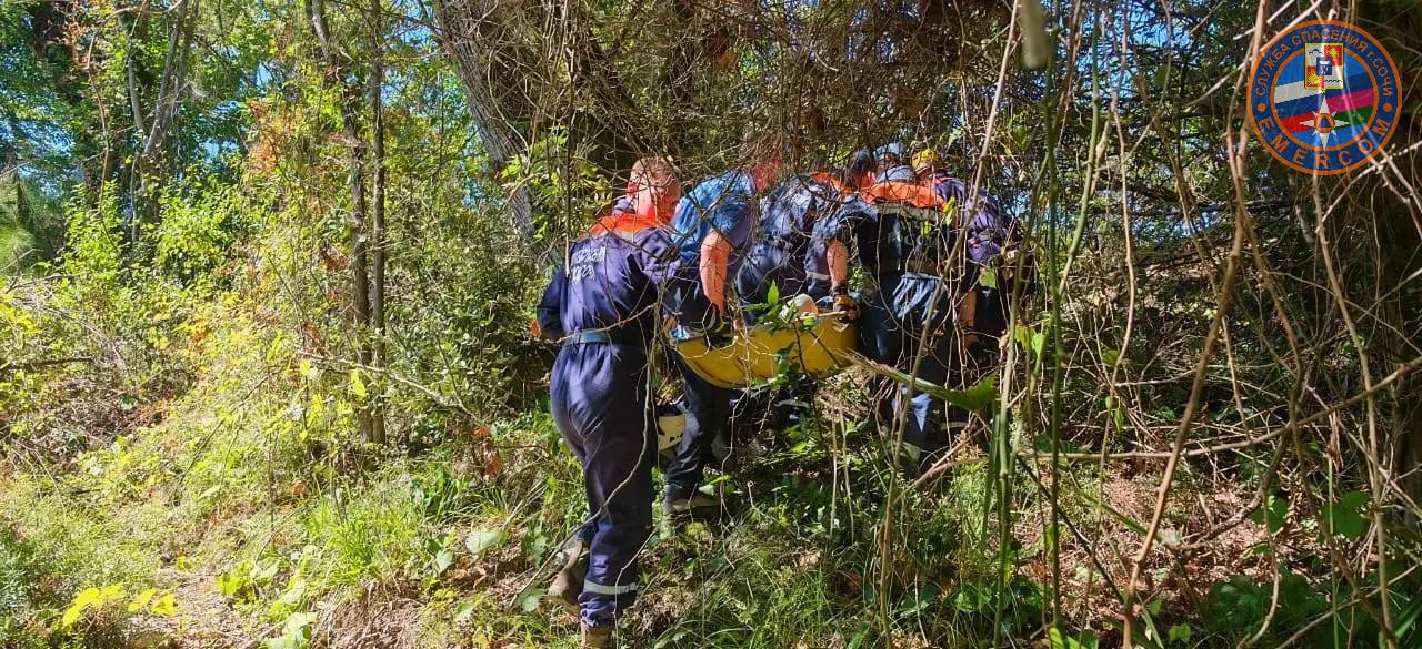 В Сочи спасатели трое суток искали в лесу заблудившегося грибника