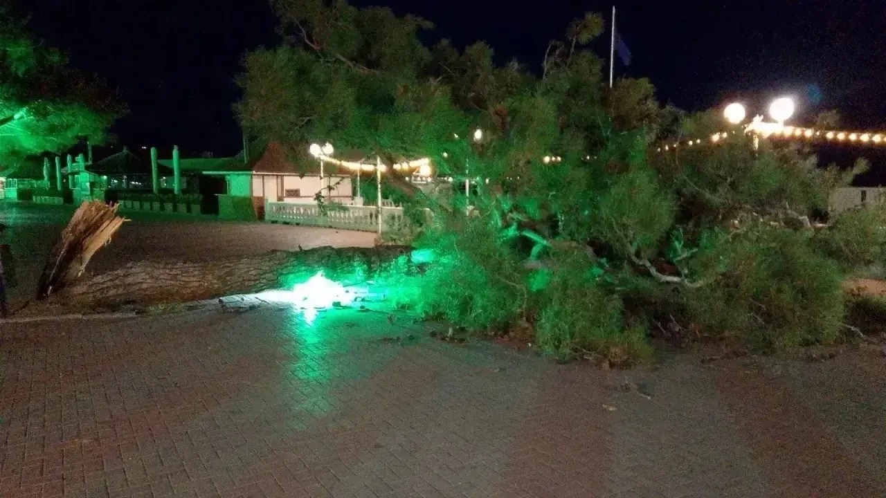 В Геленджике ураганный ветер повалил деревья