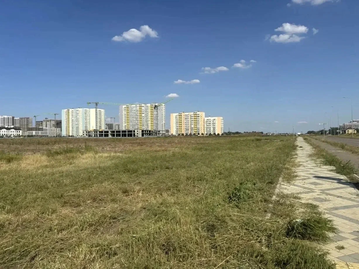В Новознаменском покосили большой участок амброзии