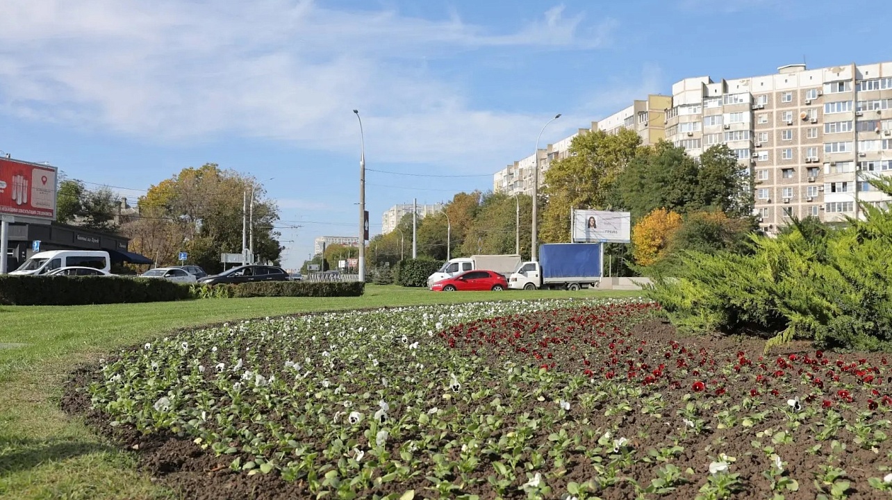 В Краснодаре на клумбах появятся виолы, тюльпаны и крокусы