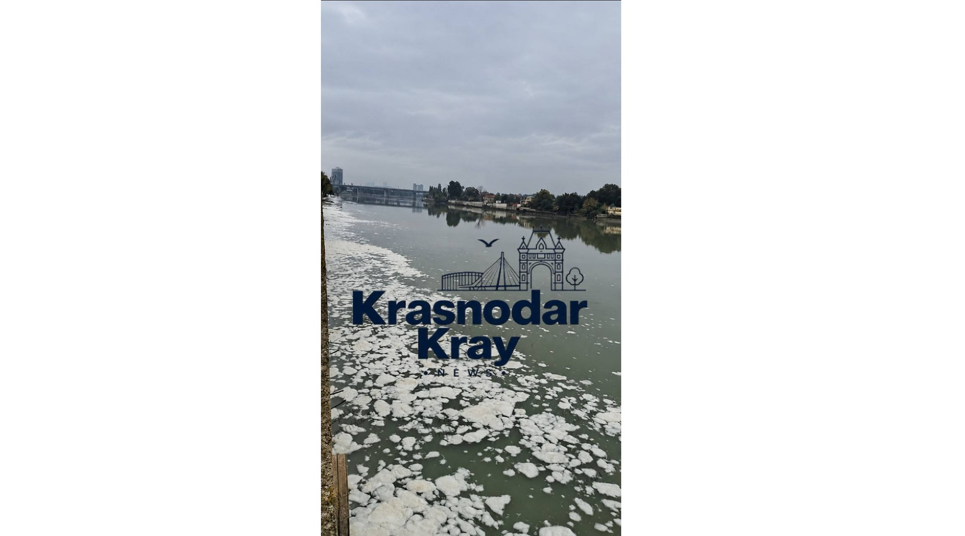 В Краснодаре вода в реке Кубань покрылась пеной и масляными пятнами