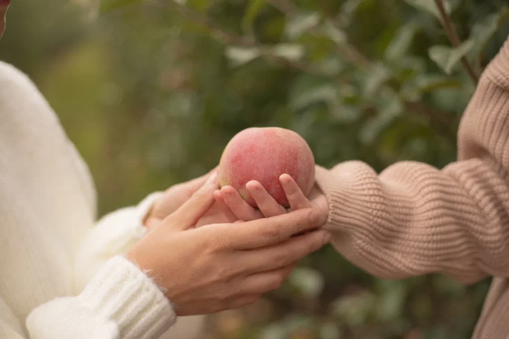 Изображение к статье: «Яблоня от яблони»: агрофотопроект ко Дню матери - история заботы, труда и семейных традиций