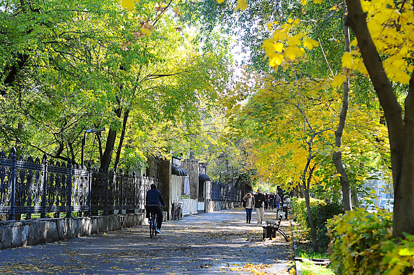 Изображение к статье: Осенний поцелуй из Таганрога