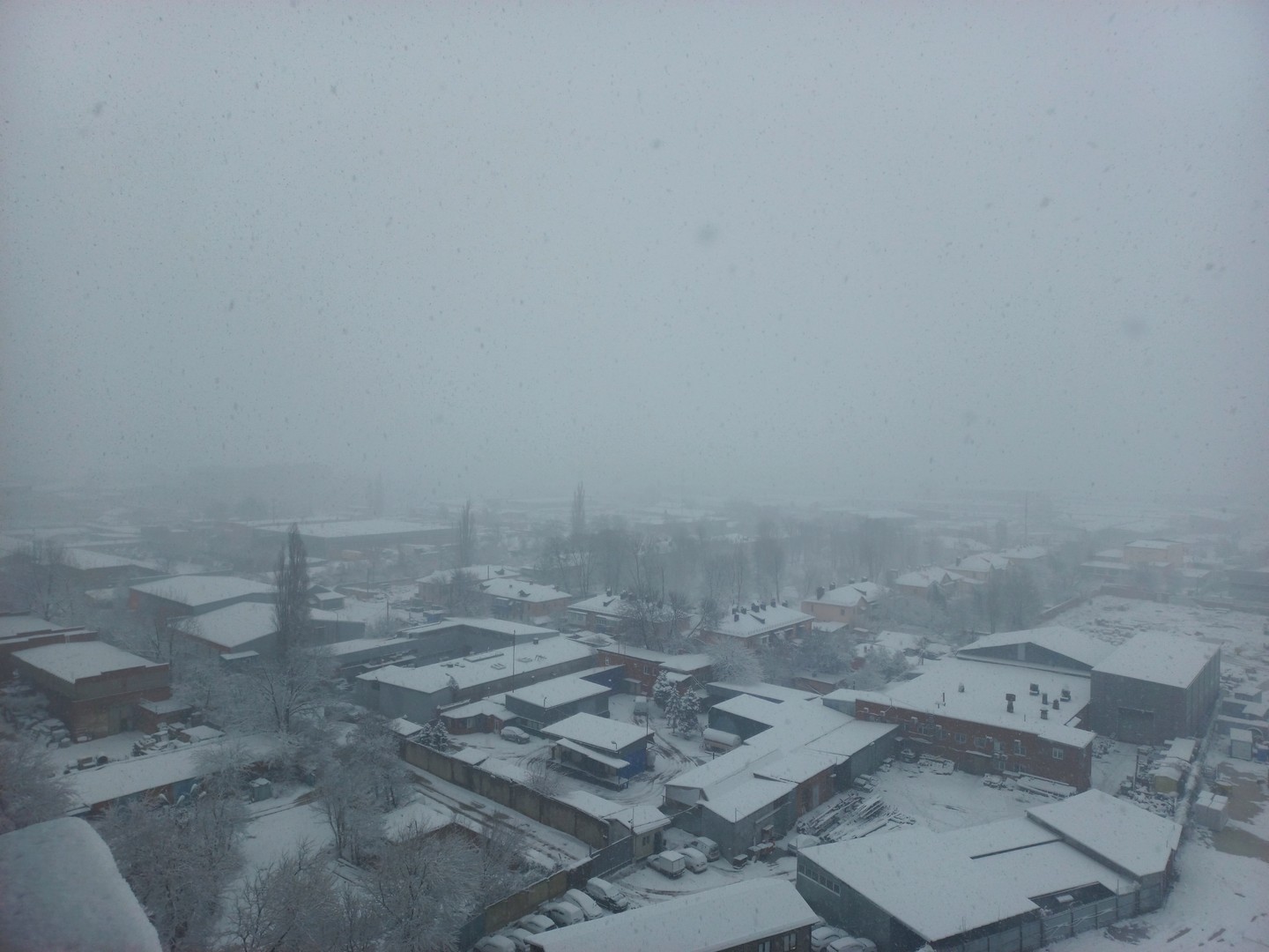 Изображение к статье: Краснодар застыл в восторге от зимней сказки